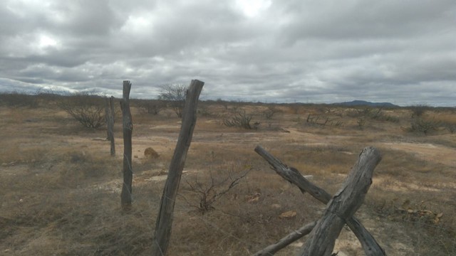 TERRENO À VENDA NA RODOVIA SALITRE. - Foto 2