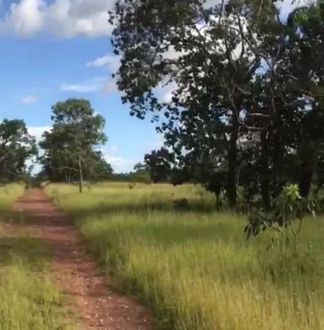 Fazenda em Taipas Tocantis com 896 Alqueires Taipas Tocantis TO