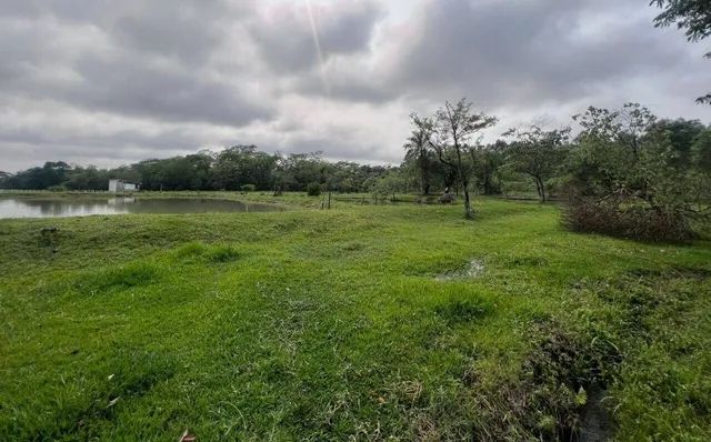 Belíssimo sitio com Mogno Africano - Sítio Espetacular de 62.500m² - Foto 3