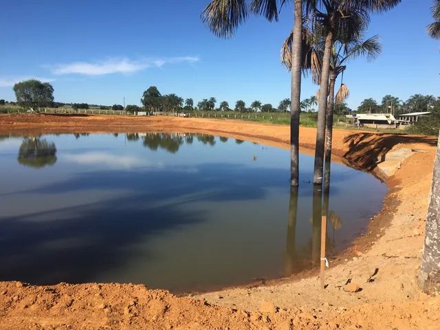 ALUGUEL DE TRATOR DE ESTEIRA *  - Foto 5