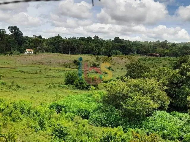 Vendo Fazenda com 385 Hectares - Foto 2