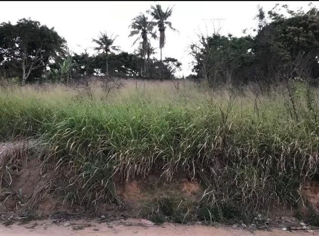 Lote 310m2