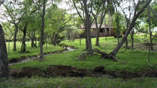 Belíssimo sitio com Mogno Africano - Sítio Espetacular de 62.500m²