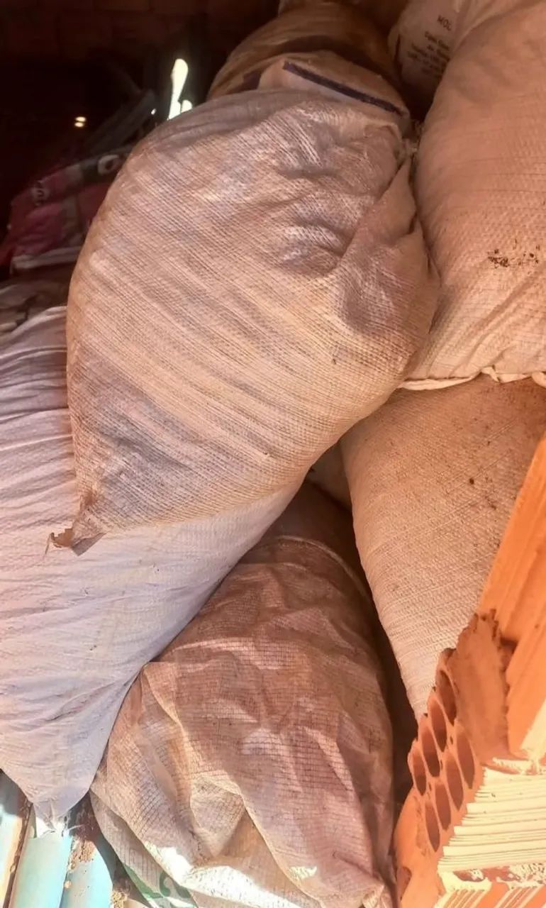 Semente de capim Andropogon  - Foto 5