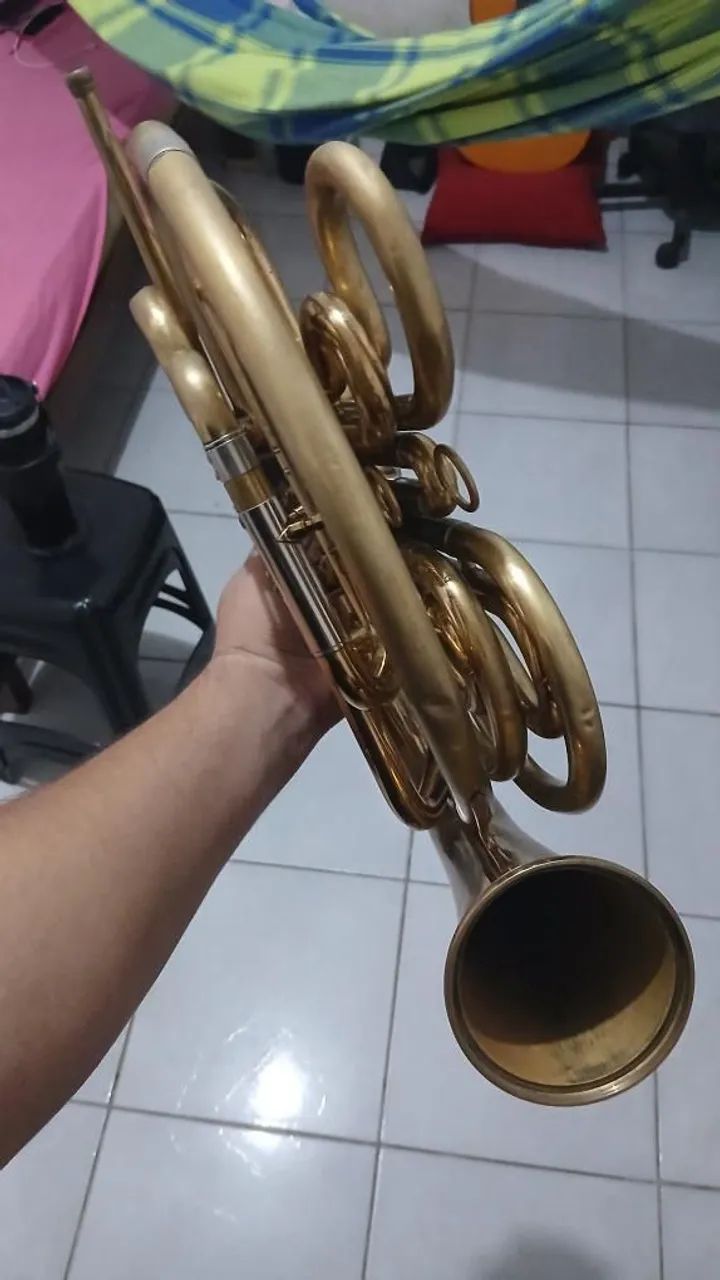 Trompa Dupla Prince FRH/42 FA/sib - Foto 5