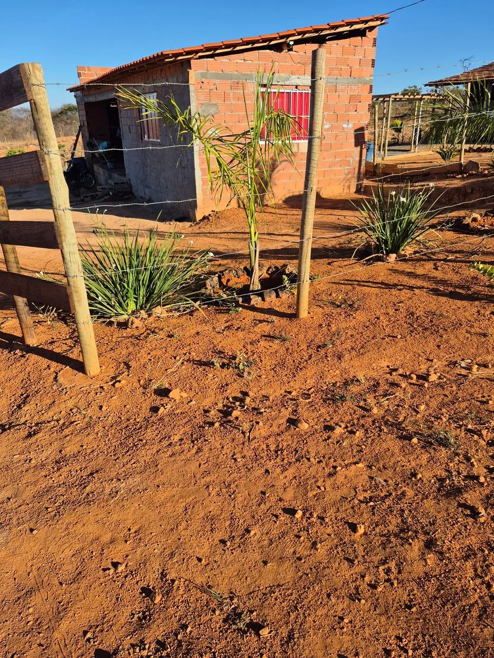 Chácara de mil metros joia do cerrado  - Foto 8