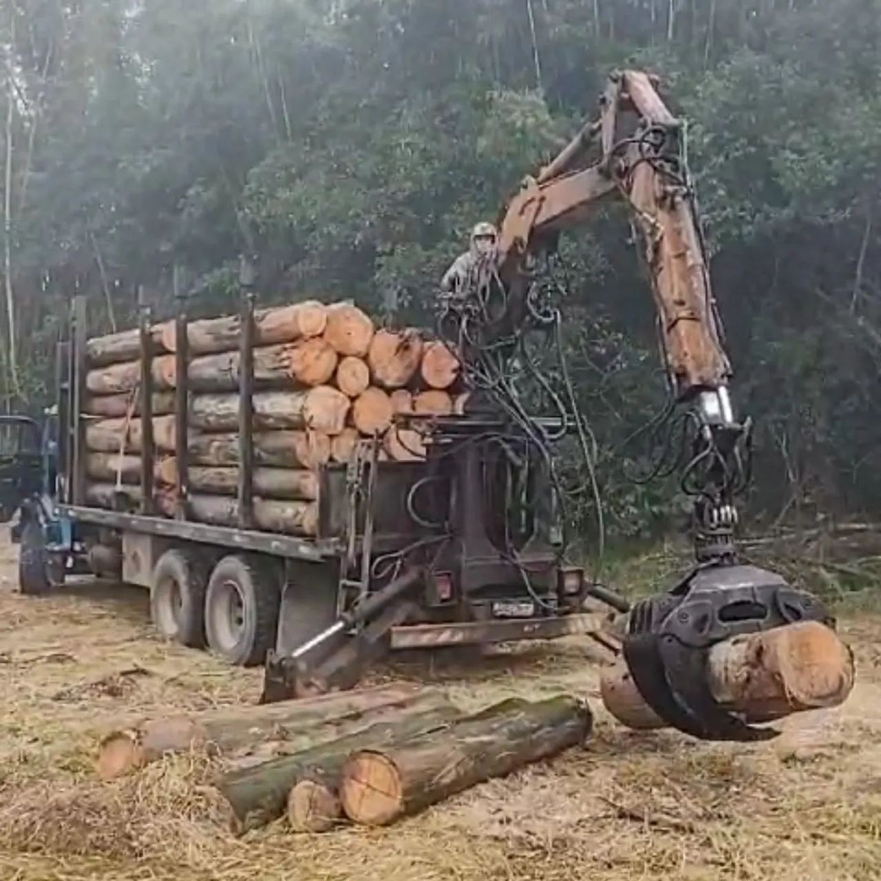 MB 2220 6x4 GRUA FLORESTAL.  - Foto 2