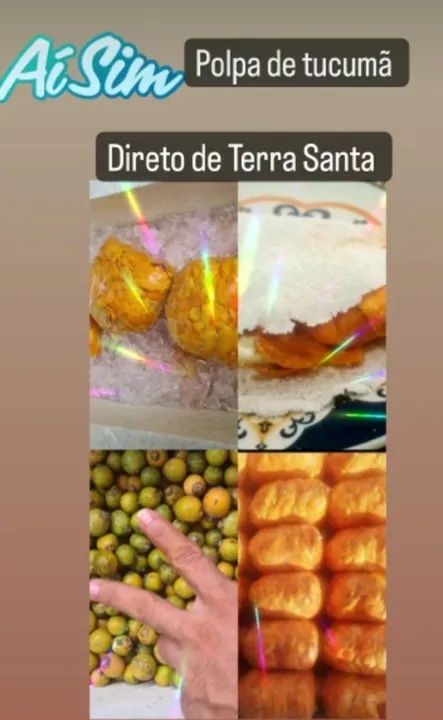 Tucumã de Terra Santa  - Foto 2