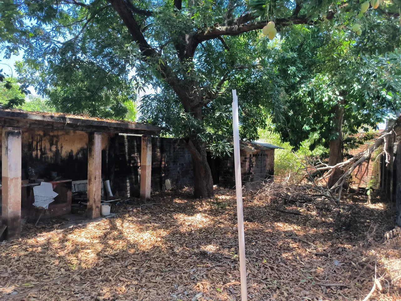 Terreno para venda em Sao Jose de Ribamar - São José de Ribamar - MA - Foto 3