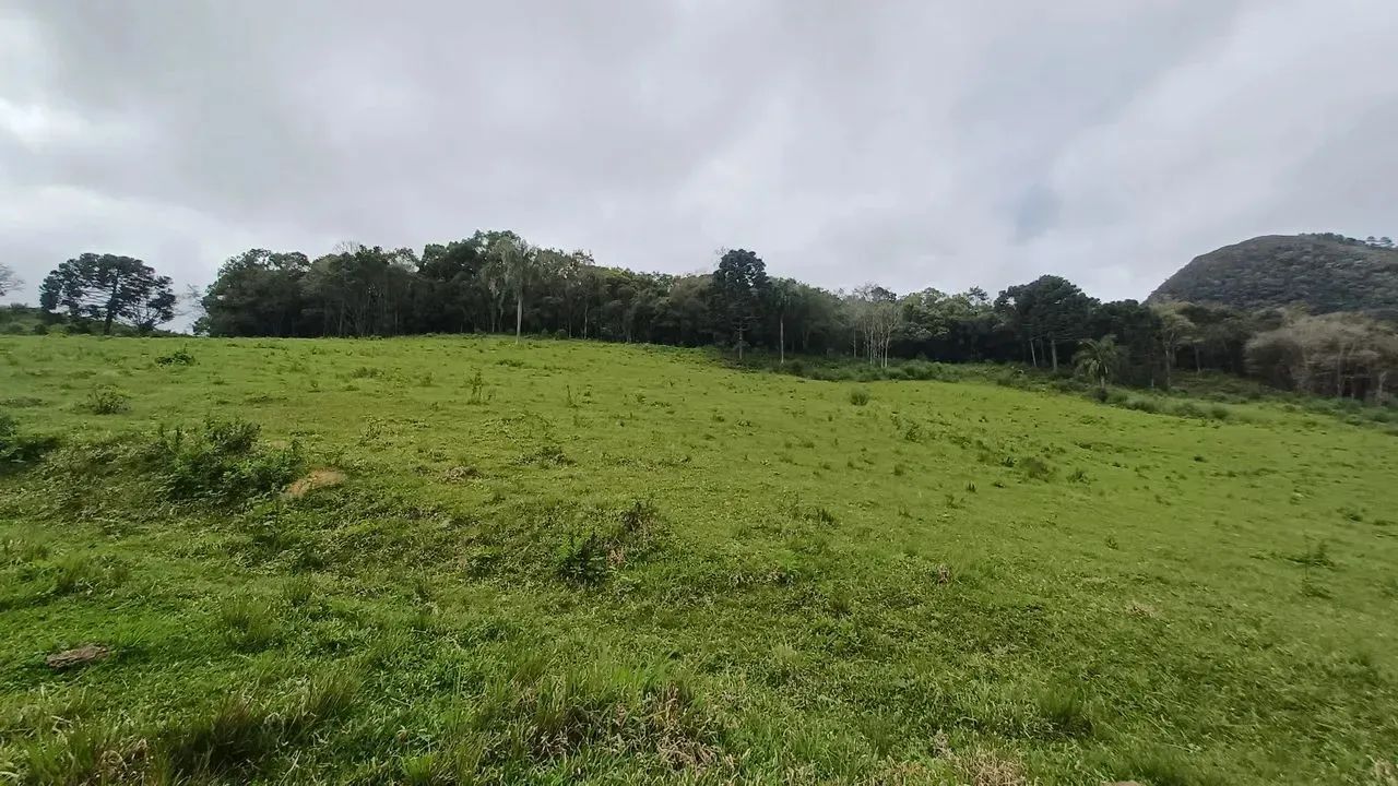 Fazenda/Sítio/Chácara para venda possui 20000 metros quadrados em Pedra Branca - Alfredo W - Foto 2