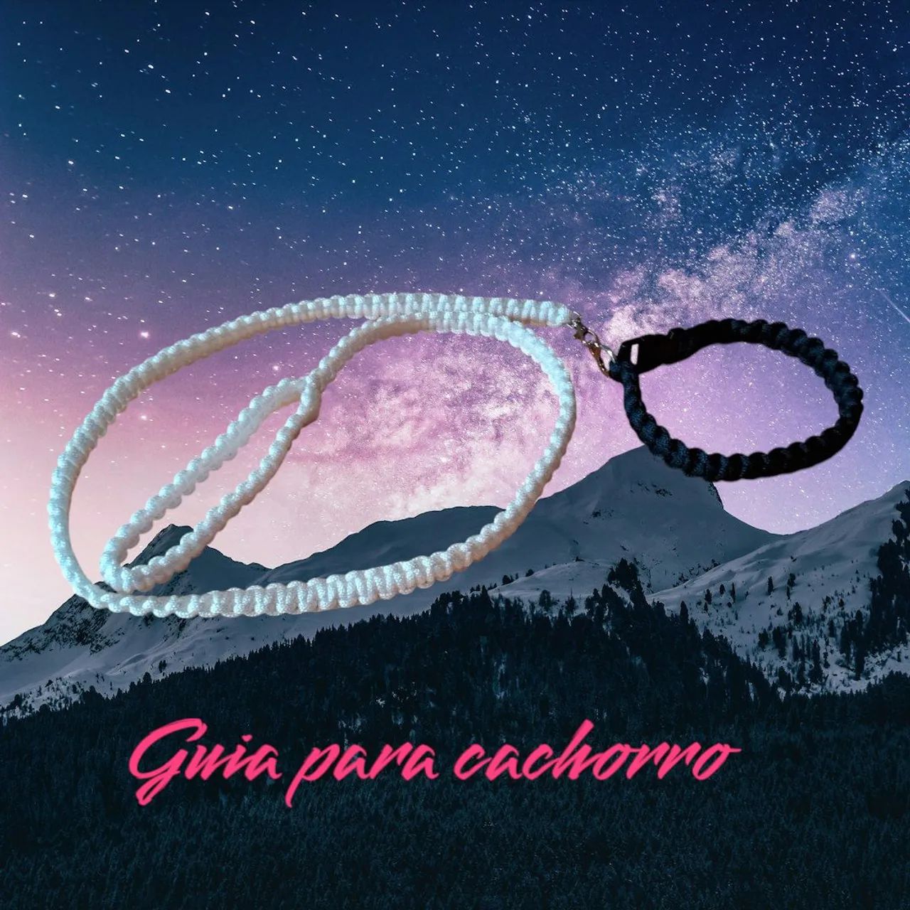 Guia para pets - Foto 4