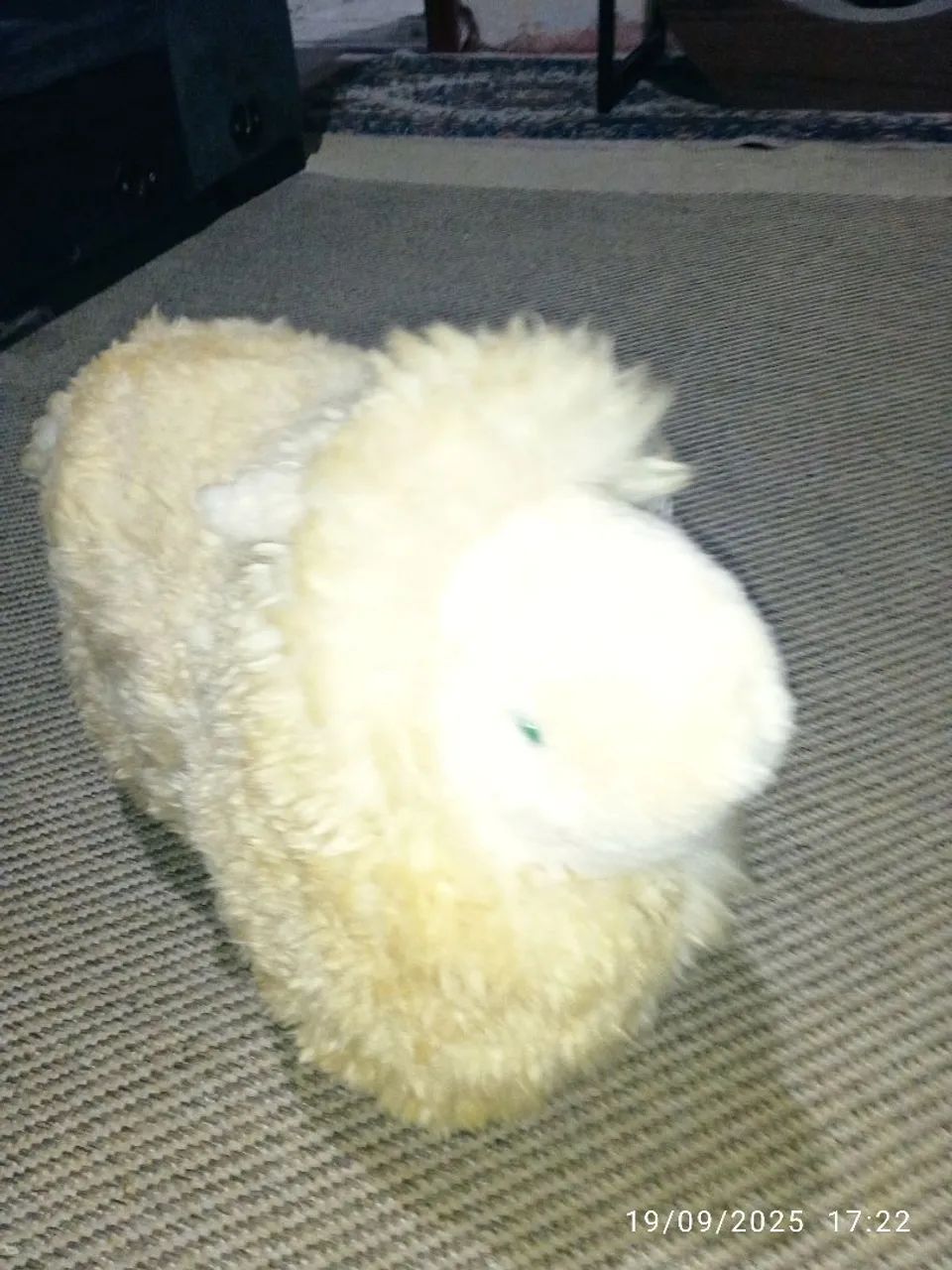 Ovelha em lã/ decoração, 40 cm