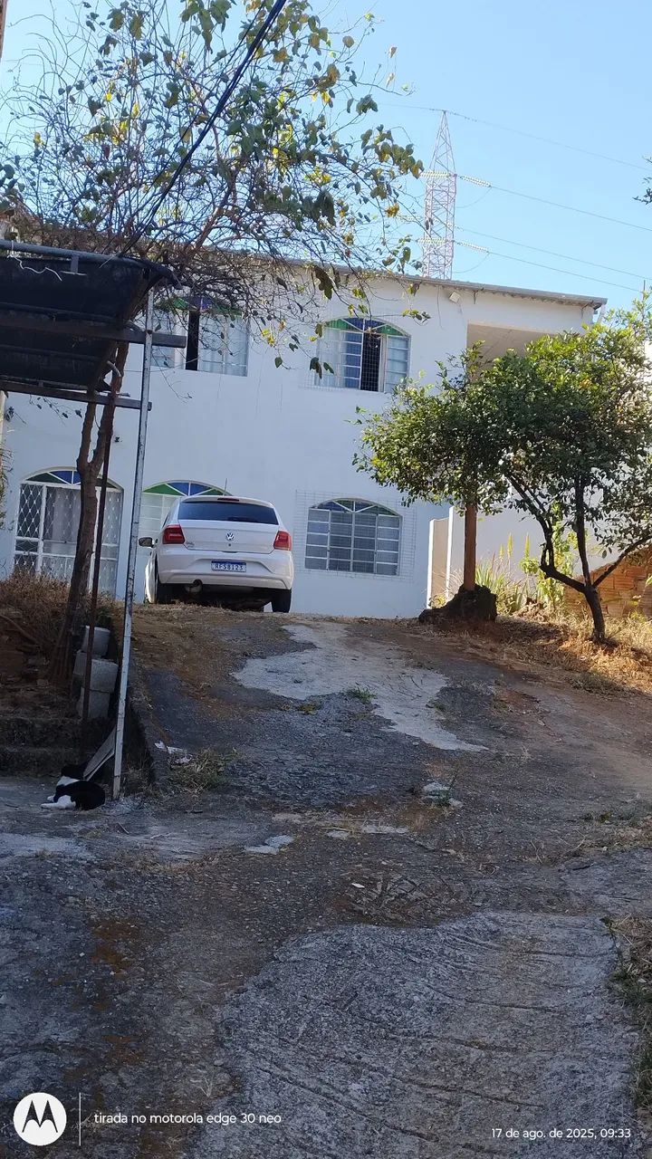 Foto - Belo Horizonte - Palmeiras