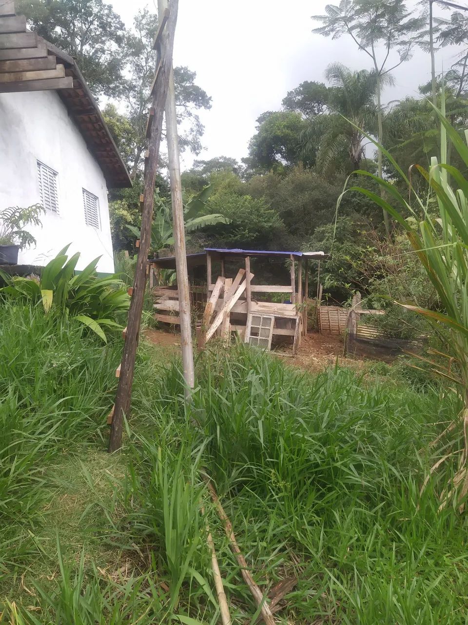 Venda ou troca propriedade linda tudo pronto casa ,curral. - Foto 3