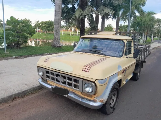 Chevrolet D10 - 1981