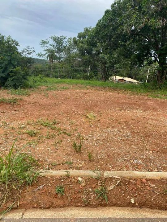 Lote plano no Jardim Ipe