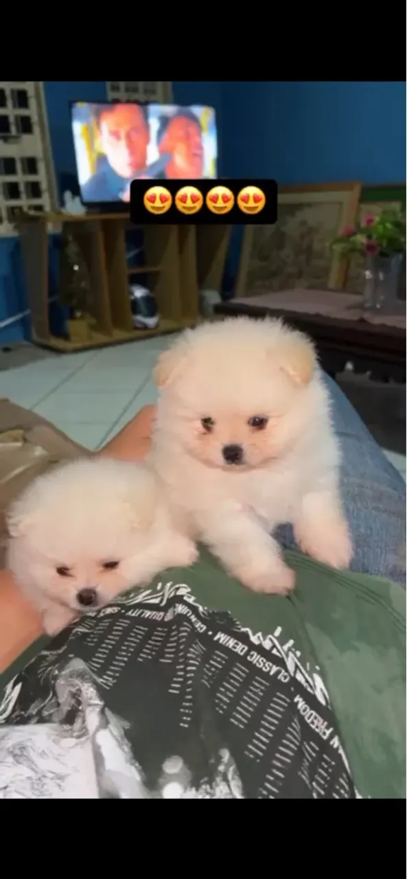 Mãe e filhos
