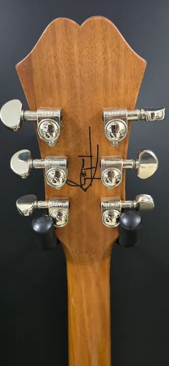 Epiphone Tom DeLonge Signature ES-333 - Brown with Cream Stripe