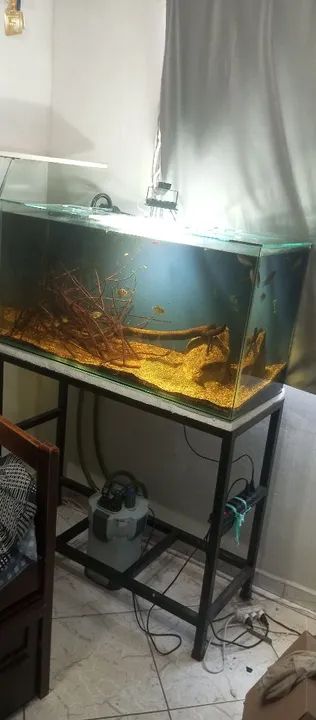 Aquário 200 litros