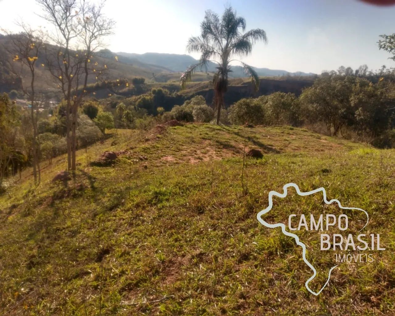 Sítio formado 4 hectares em Jambeiro! Estuda permuta! - Foto 4
