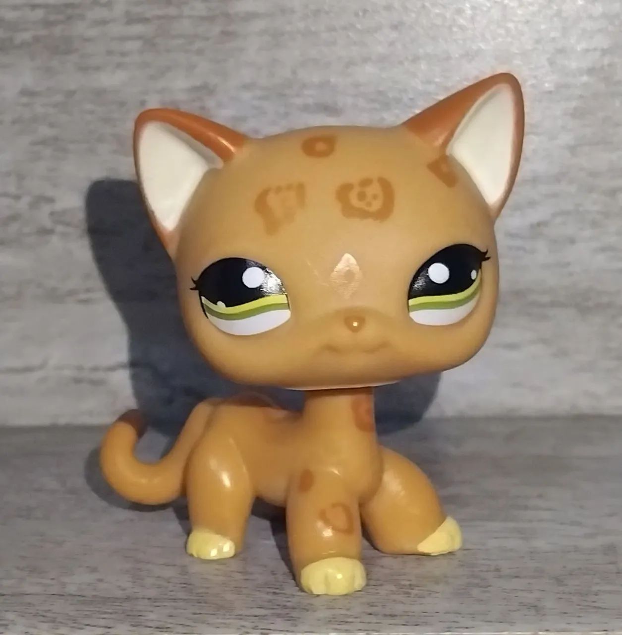 Lps Shorthair Littlest Pet Shop Olx Lps 1120 Lps Cheetah Cat