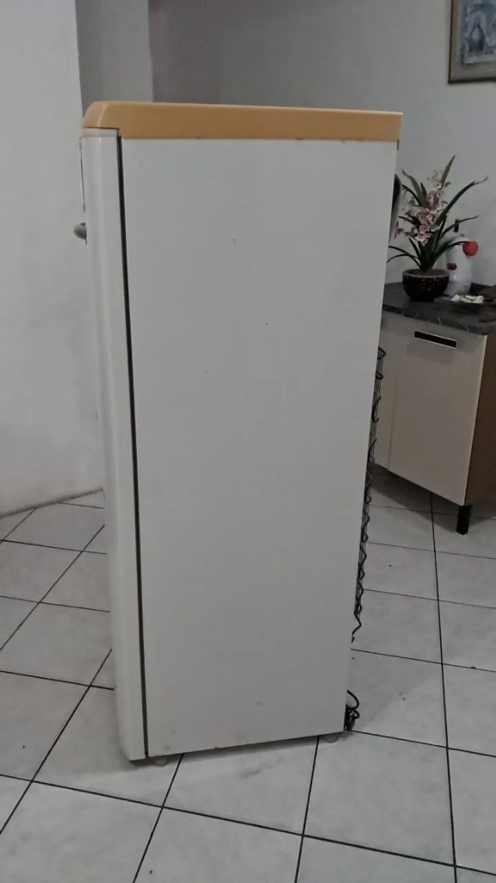 Geladeira Usada Electrolux - Foto 5