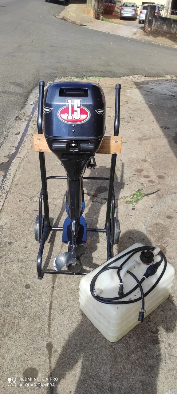 Johnson 15 Hp 2002 revisado