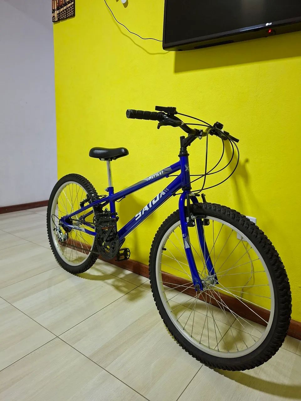 Bicicleta aro 24