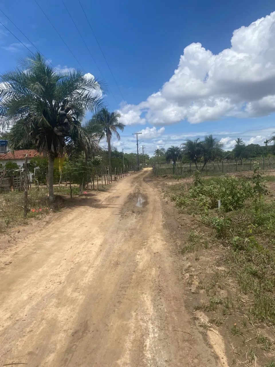 Vendo Terreno 