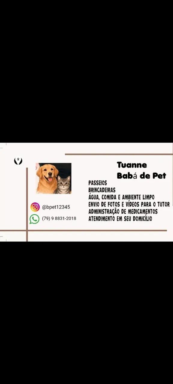 Babá de Pet