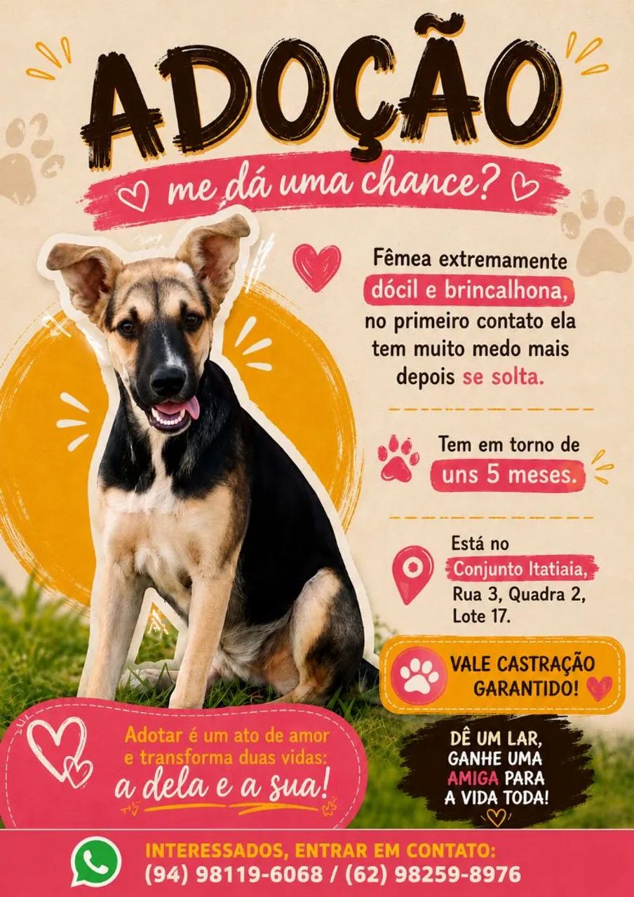 Cachorro para doação