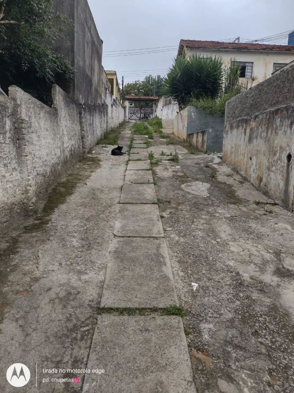 Terreno de 1000 mts com 7 casas  - Foto 3