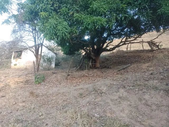 Casa com terreno grande  - Foto 4