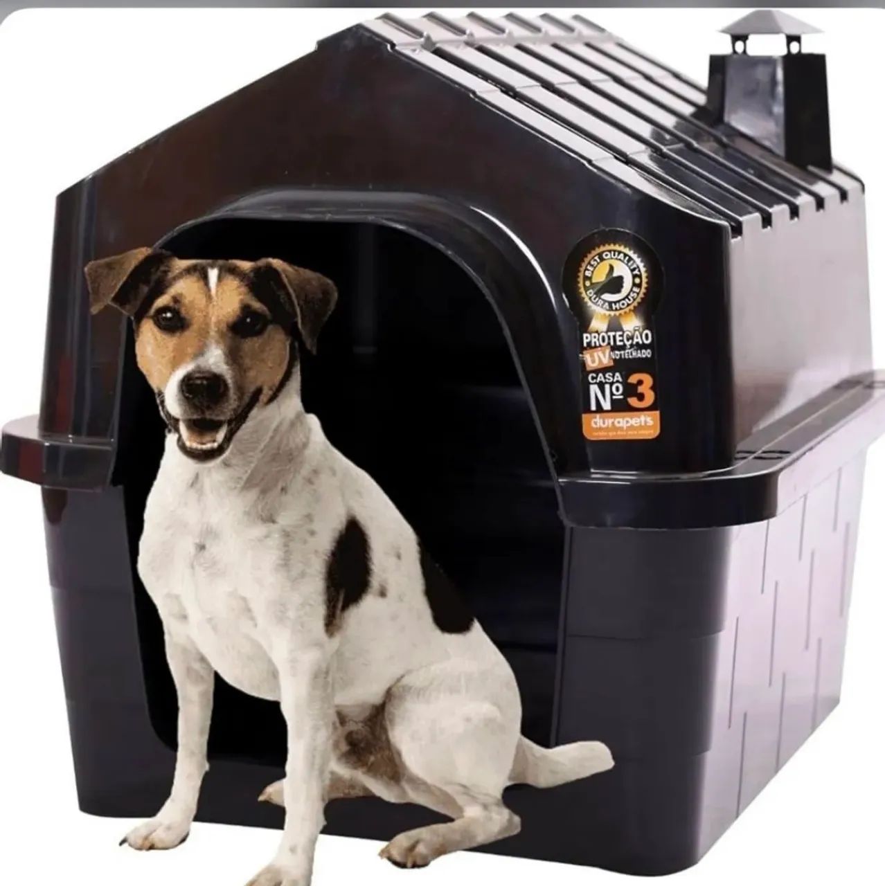 Pet acessórios 
