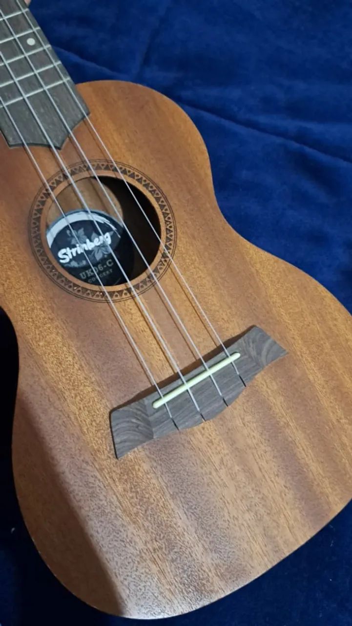 Ukulele Concert - Strinberg