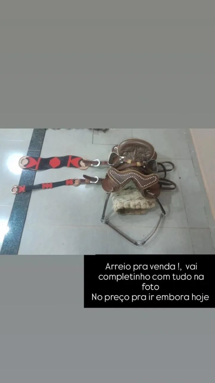 Arreio completo 