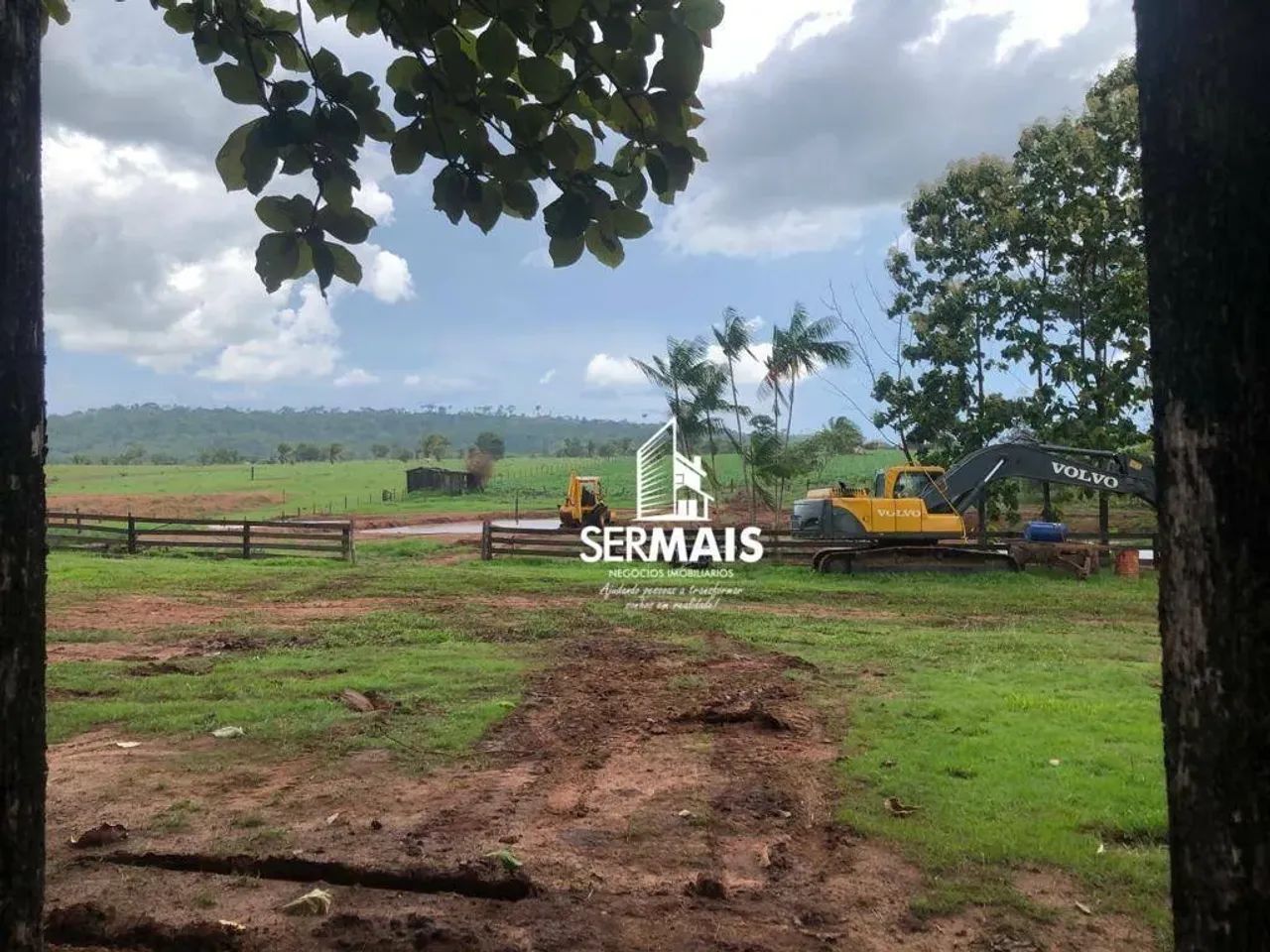Fazenda de Dupla Aptidão em Alta Floresta - Foto 5