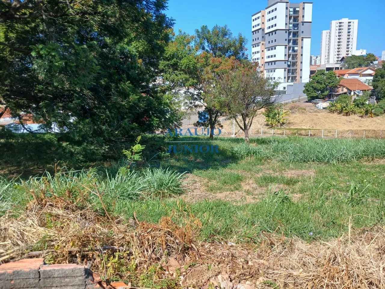 TERRENO CENTRO - Foto 6