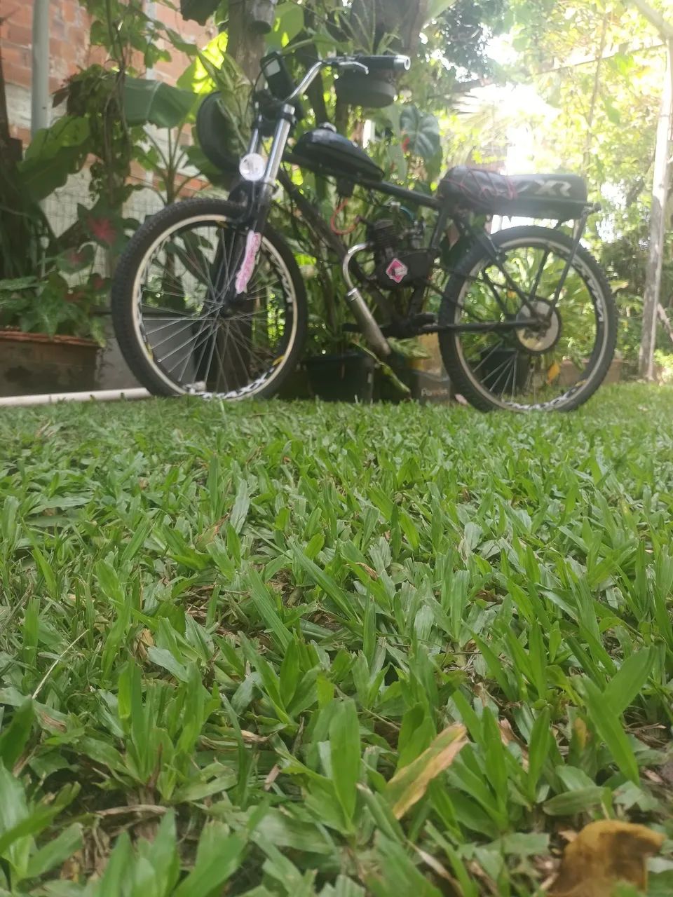 Bicicleta motorizada