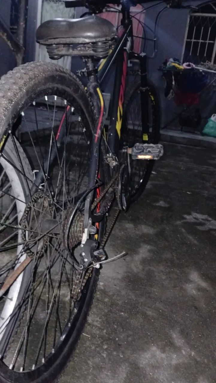 Bicicleta