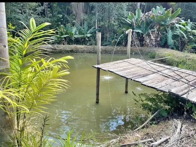 Chácara paraíso abaixo pra 189 mil  - Foto 2