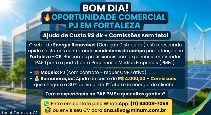 Vendedor externo - PAP