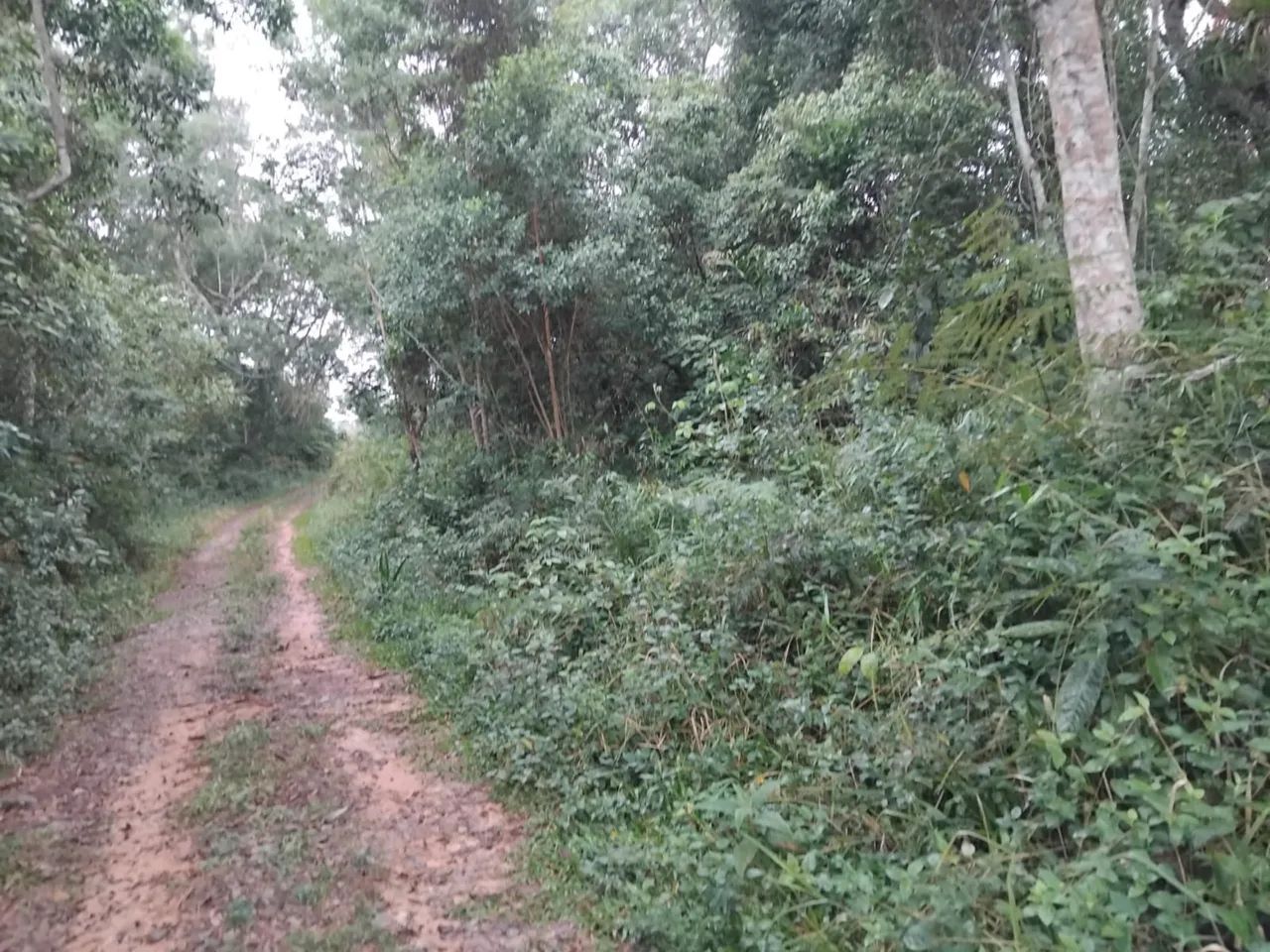 Terreno em Juquitiba  - Foto 3