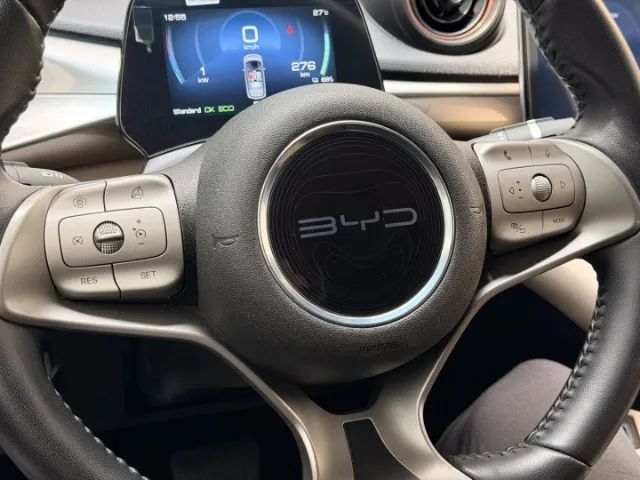 BYD Dolphin EV (Elétrico) 2024 - Foto 4