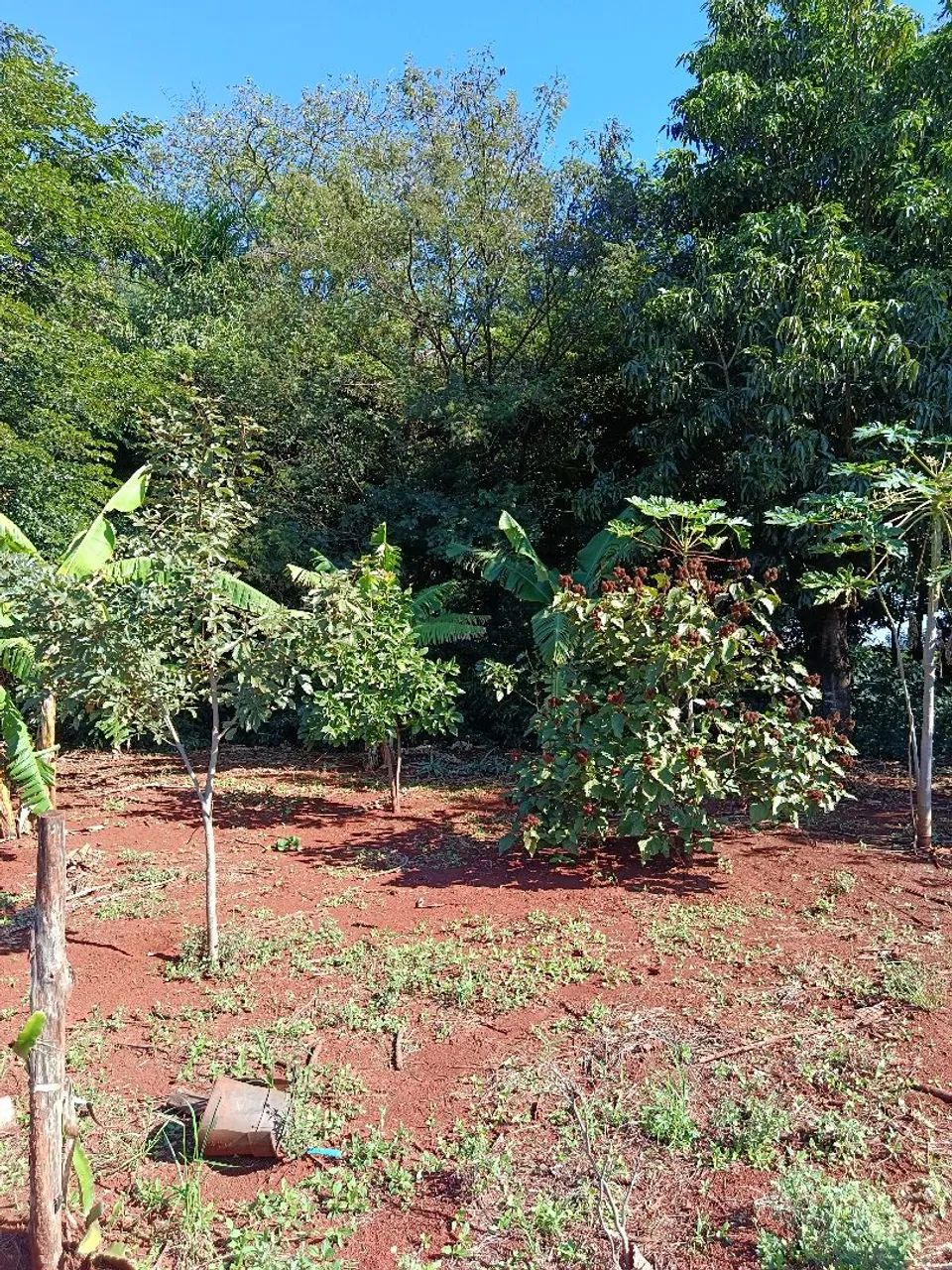 Terreno Rural 2.500 m² para Chácara - Marialva/PR<br> - Foto 4