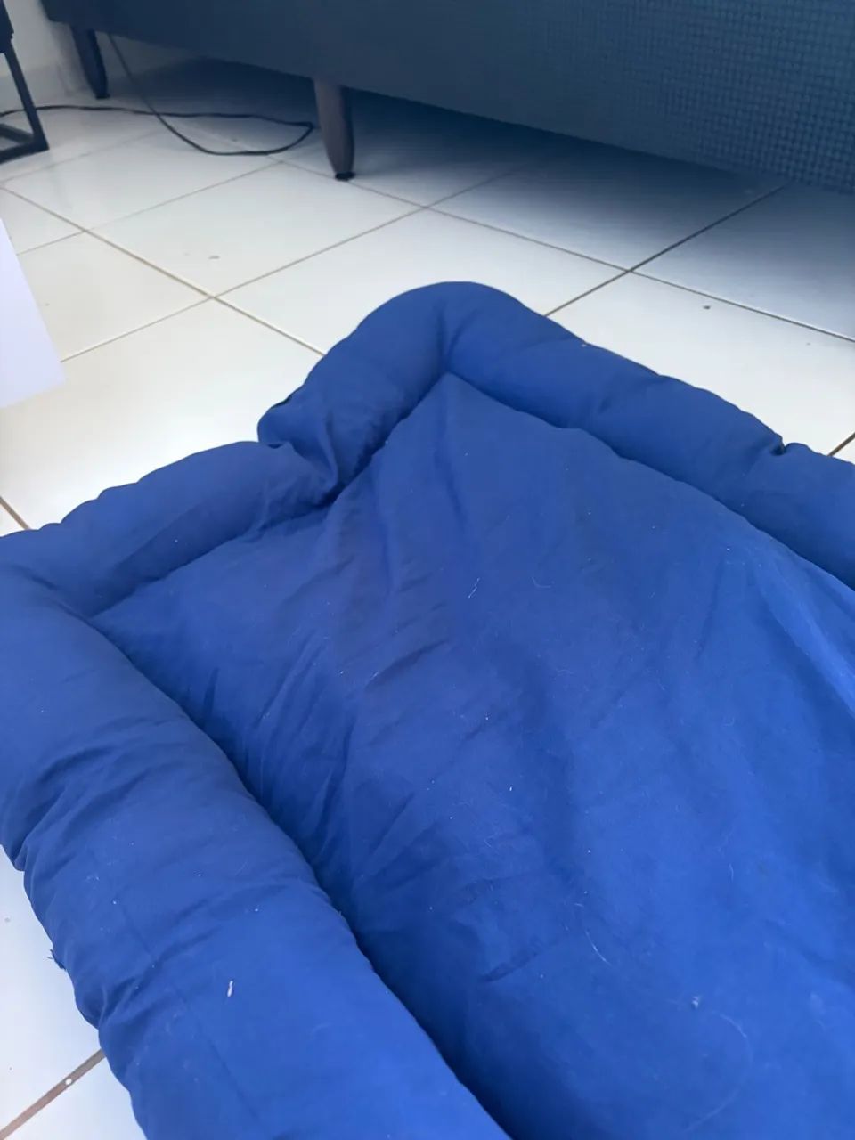 Caminha pra cachorro e gato - Foto 3
