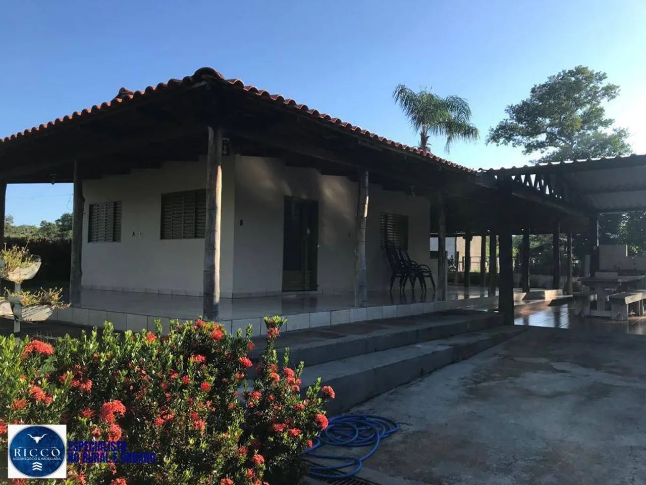 Fazenda à Venda em Nova Crixás  GO | 55 Alqueires | 100% formada - Foto 2
