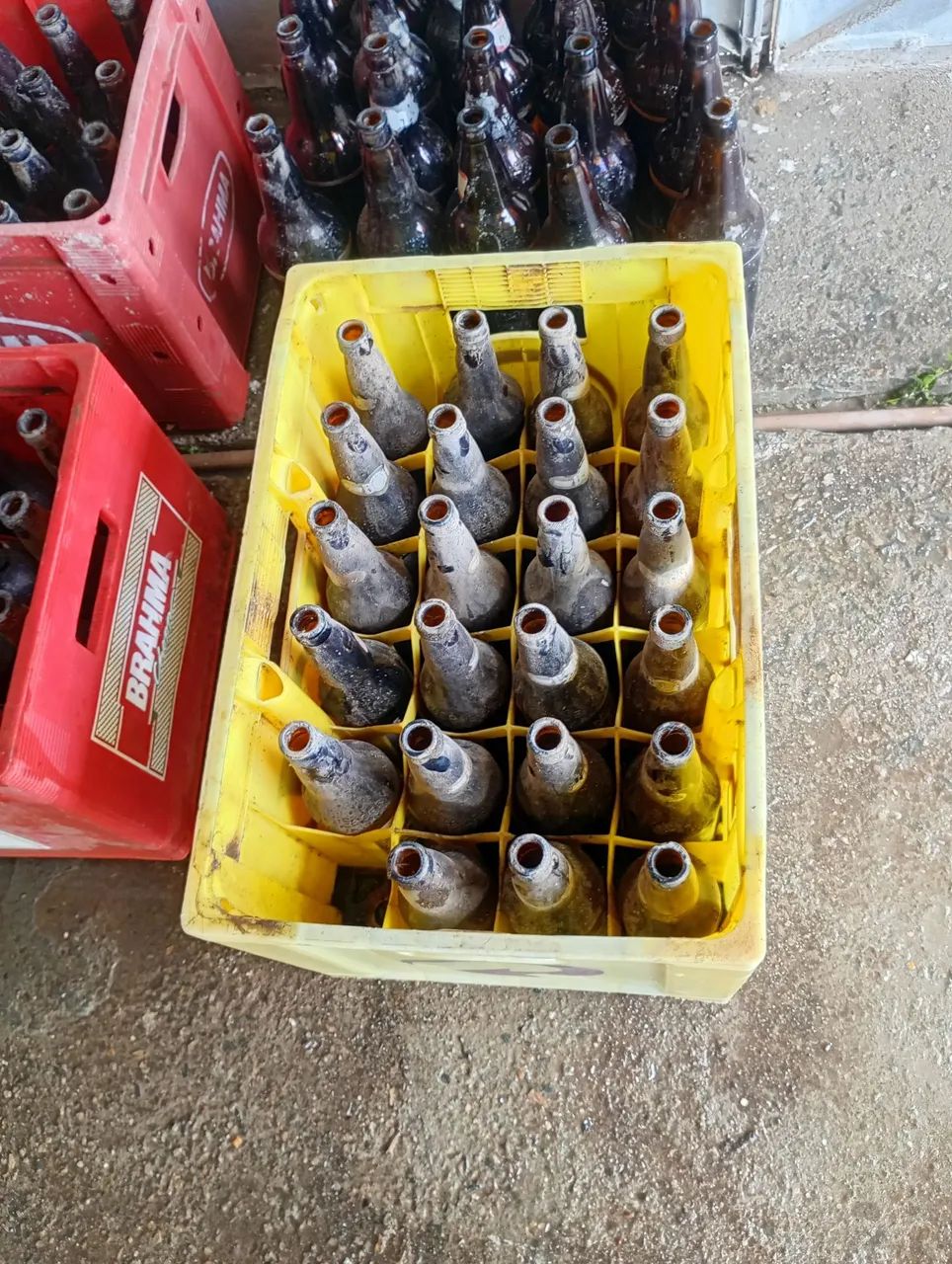 Casco de Cerveja de 600 ml.