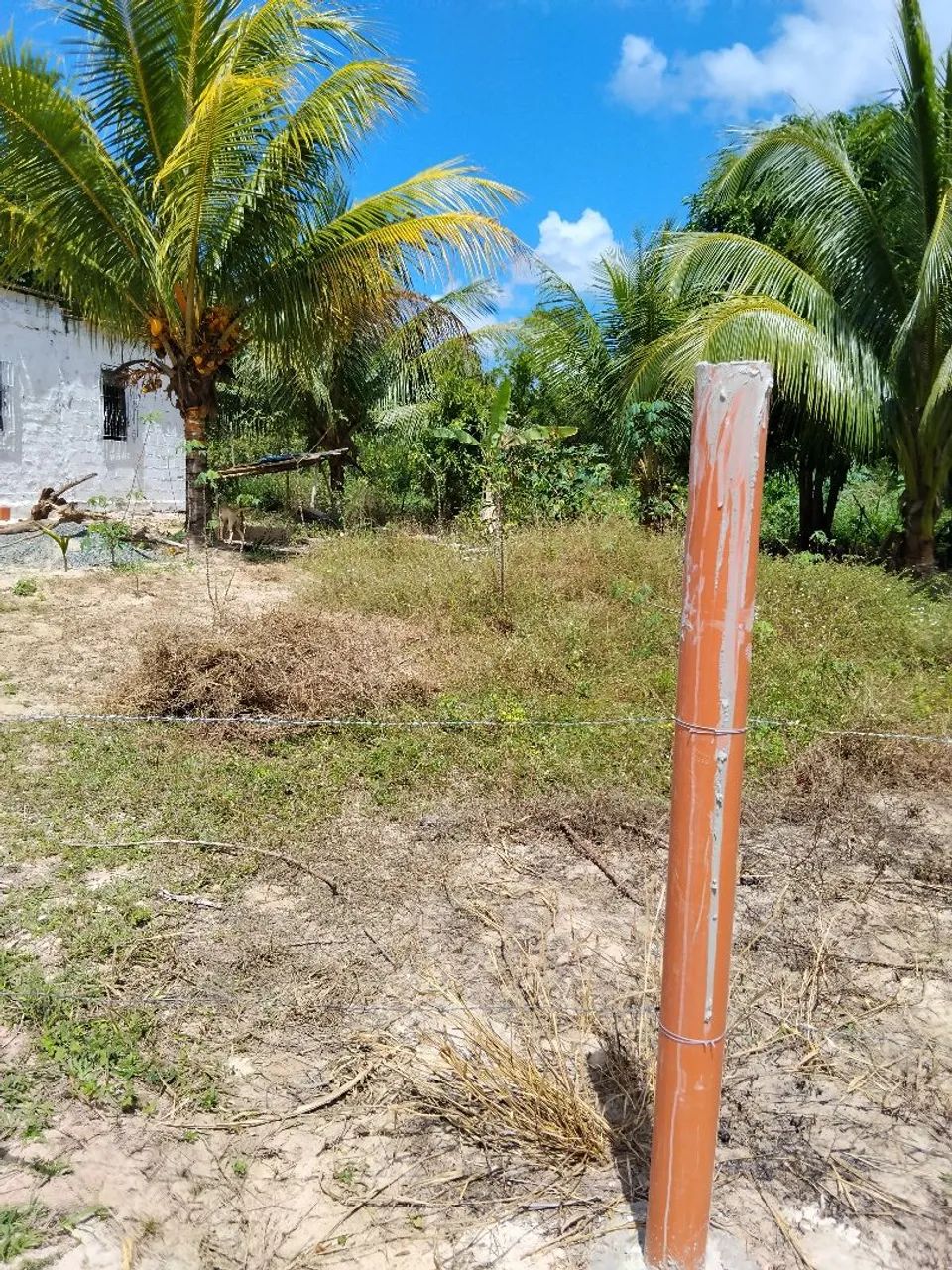Chacara - Foto 2
