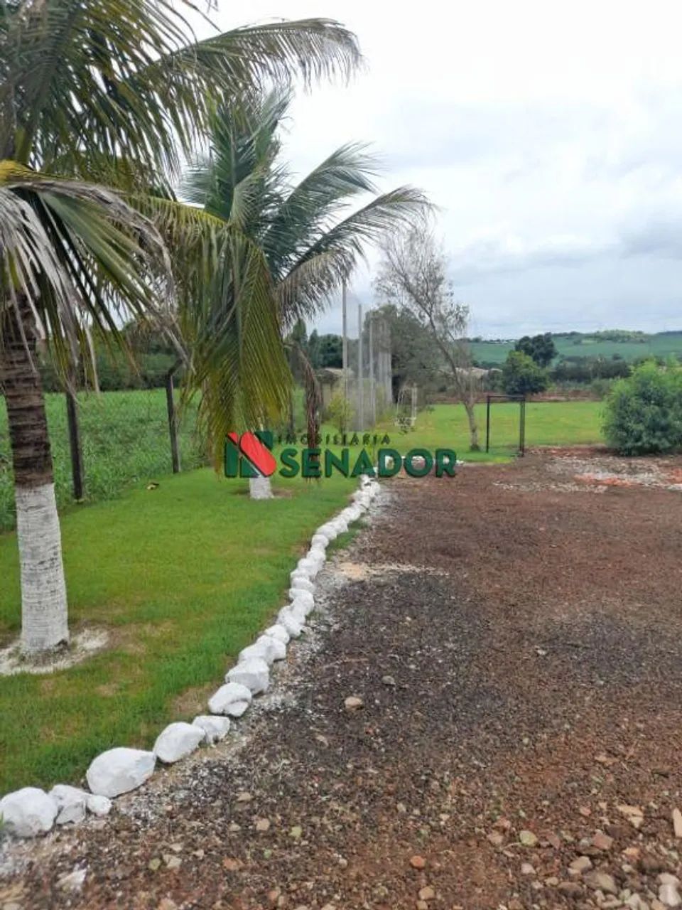 Chácara à venda em Londrina, Limoeiro, com 2 quartos, com 5000 m² - Foto 3